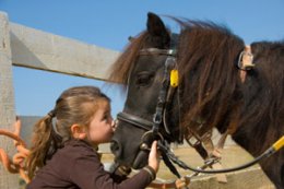 girl appreciating begginer horseback riding class