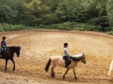 Horse riding Courses UK