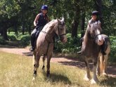 Richmond Park Horse riding