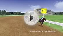 Fantasy Belmont Stakes Horse Race