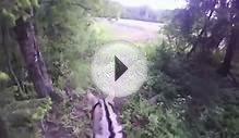 Horse riding in green forest / GoPro Helmet