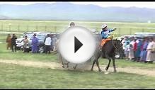 Naadam Horse Race (5 to 7 year old category)
