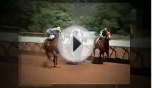 Watch - Horse Racing tv Schedule 2012 - Standard
