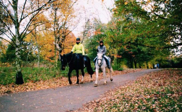 6 Take a Horse-bound Promenade