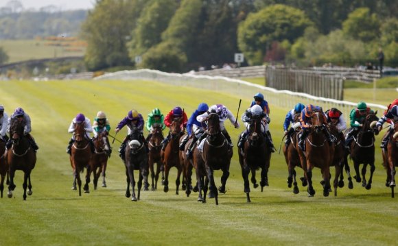 What makes the Irish Derby so