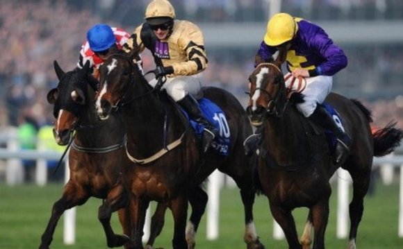 Cheltenham Gold Cup