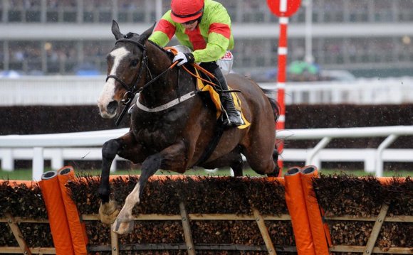 Cheltenham Festival live: Tips