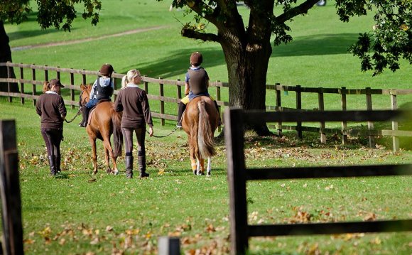 Equestrian & Polo