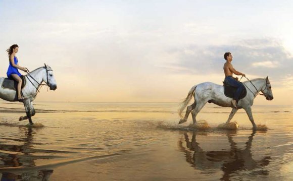 Horseback Riding Vacation