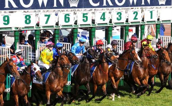 Sport : Horse Racing