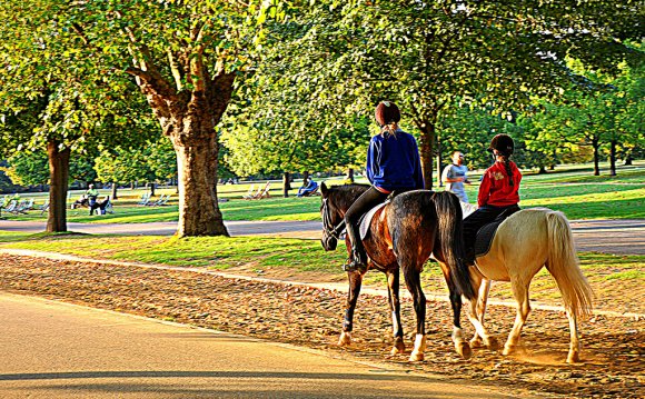 Horse riding in Hyde park