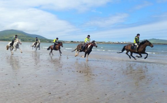 Dingle Horse Riding is pleased