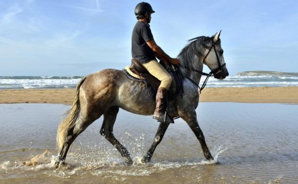 Horseriding on the beach: five