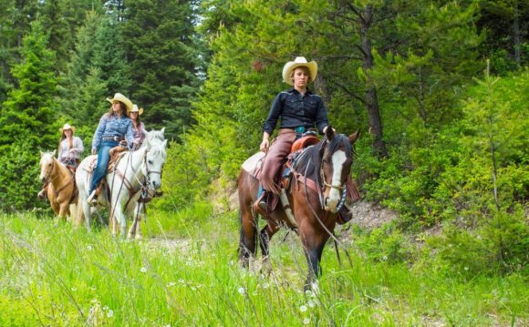 Montana Horseback Riding - Bar