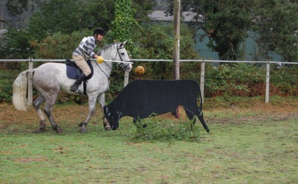 From NEW FOREST Horse Riding