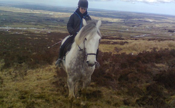 Picnic Rides Northern Ireland