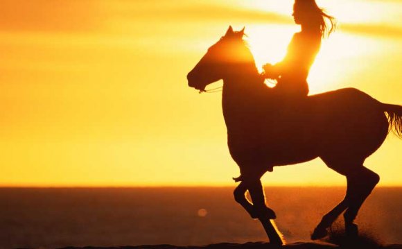 Horseback Riding Tours on Oahu