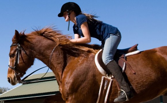 Horse Riding Lessons Orlando