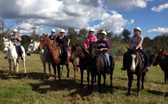 True Local: Sydney Horse
