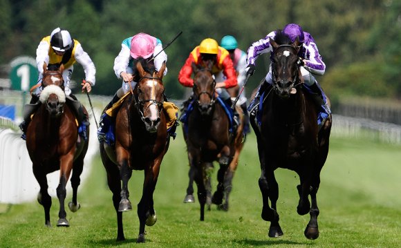 Tips to Win at Horse Racing!