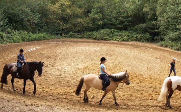 EXCEPTIONAL HORSE RIDING IN