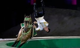 a guy performs with an Akhal-Teke horse, a revered type in Turkmenistan.