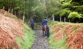 Ascending a bridle course around the moors