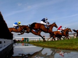 Catch a new season of thrilling horse racing at Cheltenham Racecourse during 2015-16. © Bob Langrish Equestrian Photographer.