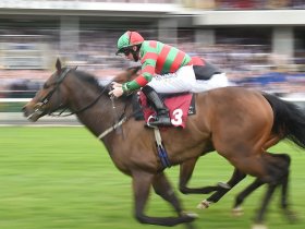 never Touch is Alex's fancy for Ayr Gold Cup