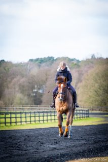 Fitness On Toast Faya Blog Girl healthier Workout tip Riding Coworth Park Equestrian Center Horse Fit wellness Calorie Burn muscular tonus Benefits of Riding-5