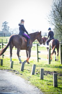 Fitness On Toast Faya Blog woman healthier fitness Idea Riding Coworth Park Equestrian Center Horse Fit Health Calorie Burn Muscle Tone Benefits of Riding-9