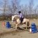 Horse riding Brecon Beacons