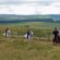 Horse riding Camps UK