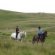 Horse riding Courses UK