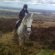 Horse riding North West