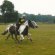 Horse riding Northumberland