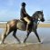 Horse riding Pembrokeshire