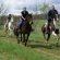 Horseback riding in France