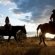 Horseback riding Vacations