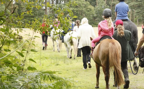 Horse riding lessons in Hampshire