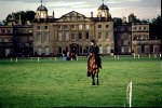 Horse in front of Badminton House