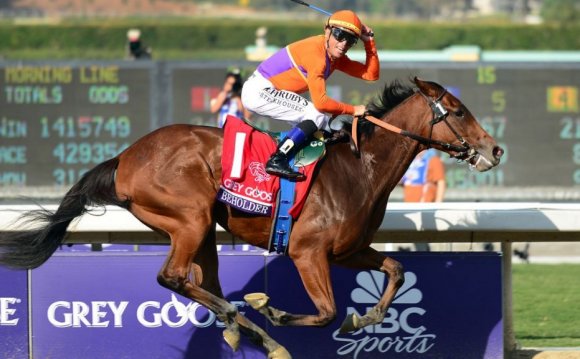 Horse Racing Results Breeders Cup
