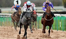 Horse Racing - Southwell Racecourse
