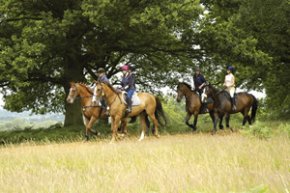 Horse Riding Group