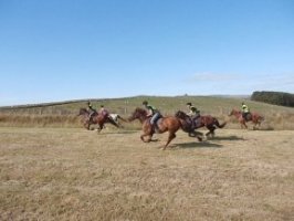 horseback riding Holidays Wales