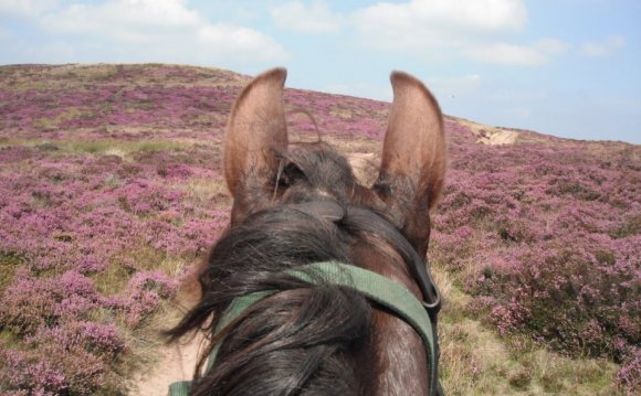 Horse riding Weekends UK