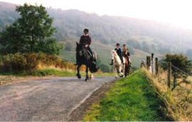 Horse riding when you look at the North York Moors nationwide park