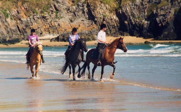 Horse riding in Wales