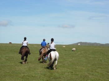 horseback riding on Bodmin Moor