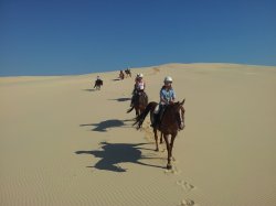 Horse Riding, Sand Dunes